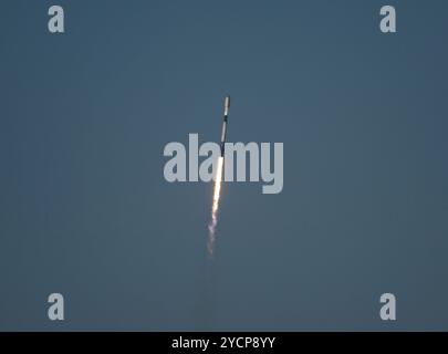 Cape Canaveral, Florida, USA. Oktober 2024. Eine SpaceX Falcon 9-Rakete mit 23 Starlink-Satelliten hebt am 23. Oktober 2024 um 17:47 Uhr EDT vom Space Launch Complex-40 auf der Cape Canaveral Space Force Station in Florida ab (Foto: © Charles Briggs/ZUMA Press Wire). Nicht für kommerzielle ZWECKE! Stockfoto