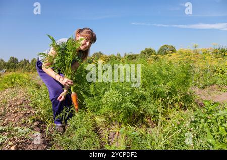 Junge Frau Gärtner hält eine Garbe von Karotten in ihrem Garten Stockfoto