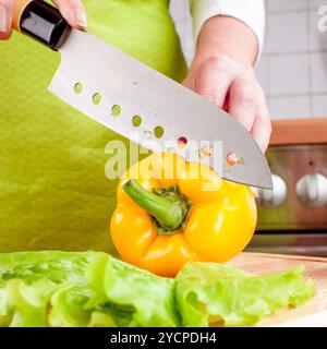 Frauenhand schneiden frische Paprika in der Küche Stockfoto