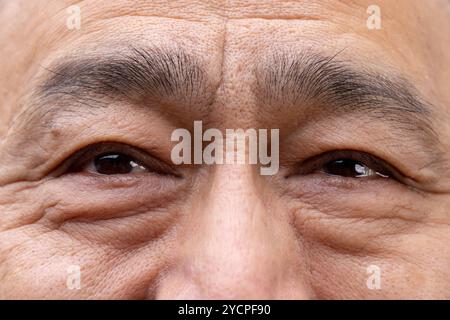 Nahaufnahme der Augen eines asiatischen Seniorenmannes, die Weisheit und Erfahrung zeigen, zu Hause Stockfoto