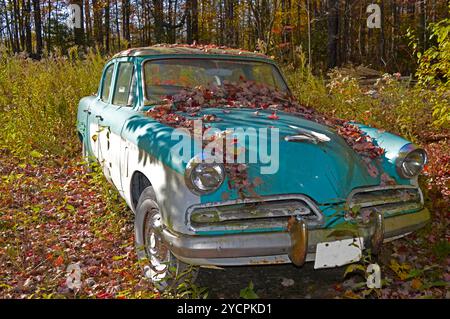 Ein altes Auto aus den 1950er Jahren sitzt auf einem leeren Feld, rostet und wird von der Natur zurückgewonnen. Stockfoto