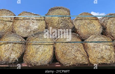 Runde Heuballen Stockfoto