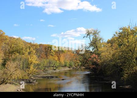 Des Plaines River am Dam Number 4 Woods mit Herbstfarben und Wolken in Park Ridge, Illinois Stockfoto