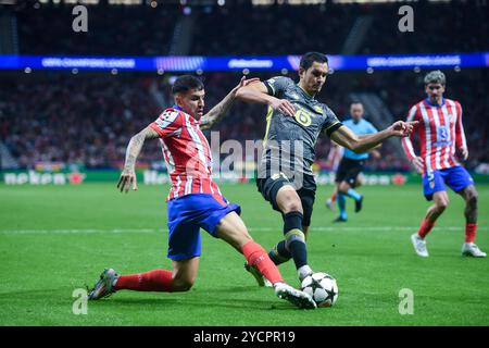 Madrid, Spanien. Oktober 2024. Angel Correa (L) von Atletico Madrid streitet mit Lilles Aissa Mandi während des Champions-League-Fußballspiels zwischen Atletico de Madrid und Lille LOSC am 23. Oktober 2024 in Madrid, Spanien. Gustavo Valiente/Xinhua/Alamy Live News Stockfoto