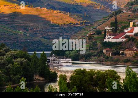 Fluss Douro-Tal, Portugal Stockfoto
