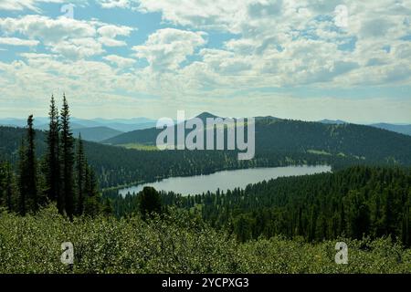 Ein sanfter Hang eines hohen Berges mit zwei einsamen Zedern und einem malerischen See unten im Tal, überflutet von Sonnenlicht. Lake Svetloe, Ergaki Natur Stockfoto