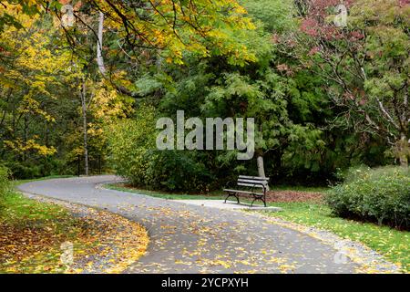 WA26186-00..... WASHINGTON - Pathway in der University of Washington Park Arboretum, Seattle. Stockfoto