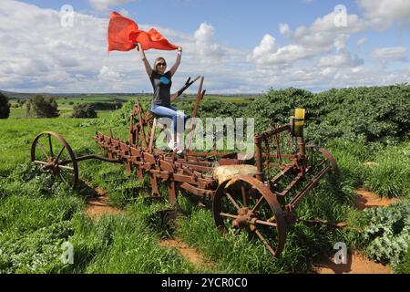 Auf einem alten, rostigen Bauernpflug sitzen oder im ländlichen Central West NSW Australien Stockfoto