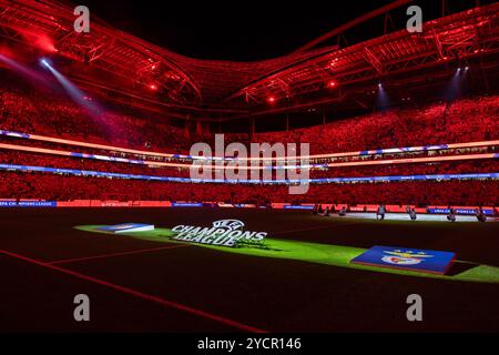 Lisboa, Portugal. Oktober 2024. Ansicht des Estadio Sport Lisboa e Benfica während des Spiels der UEFA Champions League zwischen Benfica und Feyenoord. Endpunktzahl: Benfica 1:3 Feyenoord. (Foto: Nuno Branco/SOPA Images/SIPA USA) Credit: SIPA USA/Alamy Live News Stockfoto