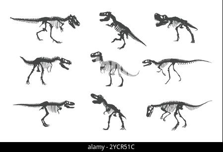 Dinosaurier Skelett svg, Dinosaurier Skelett Silhouette, Dinosaurier Knochen svg, Dinosaurier Knochen Silhouette, Dinosaurier Silhouette, Dinosaurier svg Stock Vektor