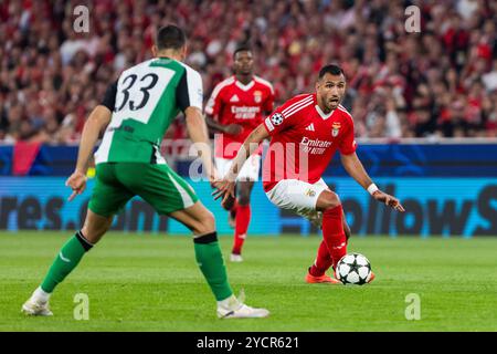 Lissabon, Portugal. Oktober 2024. Vangelis Pavlidis (R) von SL Benfica wurde während des Fußballspiels der UEFA Champions League zwischen SL Benfica und Feyenoord im Stadion Estadio da Luz gezeigt. (Endnote: SL Benfica 1 - 3 Feyenoord) (Foto: Hugo Amaral/SOPA Images/SIPA USA) Credit: SIPA USA/Alamy Live News Stockfoto