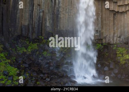 Svartifoss Wasserfall, Austurland, Island Stockfoto