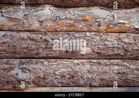 Alte rau Holzbretter mit Rissen als Hintergrund Stockfoto