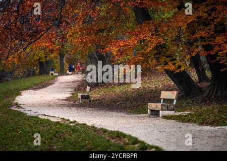 Budapest, Ungarn - farbenfrohes Herbstlaub auf dem Hügel von Normafa mit Bäumen und Bänken und Wanderwegen Stockfoto