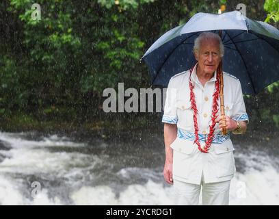 König Karl III. Steht neben einem Wasserfall, während er während seines Besuchs im O Le Pupu'PUE National Park auf Sa'agafou auf der Insel Upolu einen Regenschirm benutzt, um lokale Dorfbewohner und Gemeindegruppen zu treffen, die am fünften Tag des königlichen Besuchs in Australien und Samoa an der Wiederaufforstung beteiligt waren. Bilddatum: Donnerstag, 24. Oktober 2024. Stockfoto