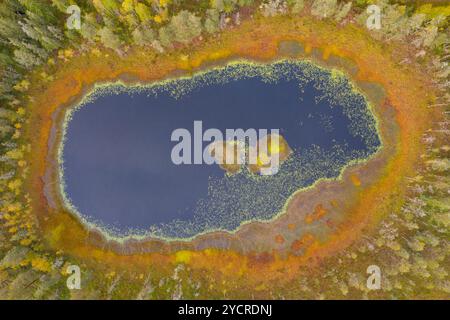 Kleiner See im Herbst, Dalarna, Schweden Stockfoto