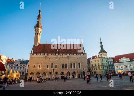 Rathaus von Tallinn auf dem alten Marktplatz, Estland Stockfoto