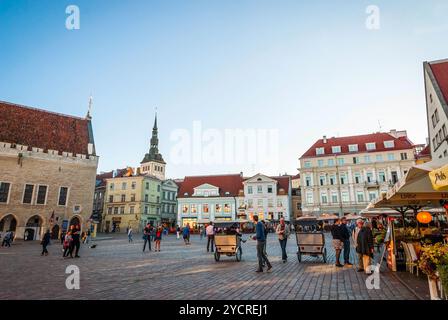 Rathaus von Tallinn auf dem alten Marktplatz, Estland Stockfoto