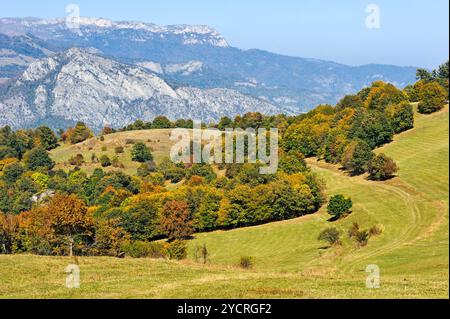 Weideland im Dilijan-Nationalpark, in der Nähe des Dorfes Gosh, Region Tavush, Armenien, Eurasien Stockfoto