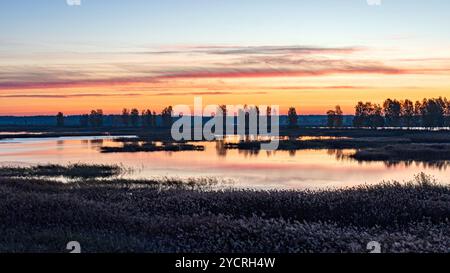 Besondere Sonnenaufgangslandschaft mit bewachsenen und überfluteten Torffeldern, Moorteichen, Vogelnest, Seda Moor, Jerceni, Lettland Stockfoto