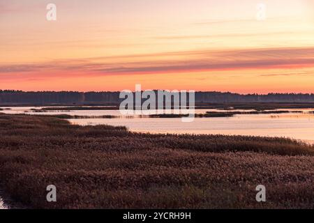 Besondere Sonnenaufgangslandschaft mit bewachsenen und überfluteten Torffeldern, Moorteichen, Vogelnest, Seda Moor, Jerceni, Lettland Stockfoto