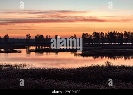 Besondere Sonnenaufgangslandschaft mit bewachsenen und überfluteten Torffeldern, Moorteichen, Vogelnest, Seda Moor, Jerceni, Lettland Stockfoto