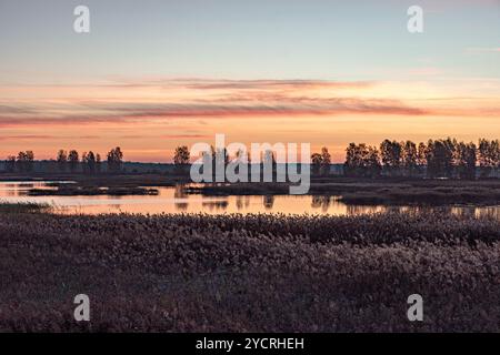 Besondere Sonnenaufgangslandschaft mit bewachsenen und überfluteten Torffeldern, Moorteichen, Vogelnest, Seda Moor, Jerceni, Lettland Stockfoto