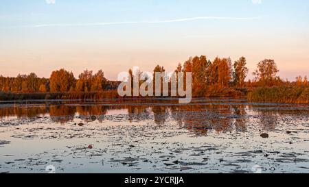 Besondere Sonnenaufgangslandschaft mit bewachsenen und überfluteten Torffeldern, Moorteichen, Vogelnest, Seda Moor, Jerceni, Lettland Stockfoto