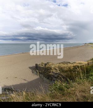 Blick auf den goldenen Sandstrand von Greystones in der Irischen See in County Wicklow Stockfoto