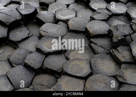 Nahaufnahme der Basaltsteinsäulen aus vulkanischem Hexagon des Giant's Causeway in Nordirland Stockfoto