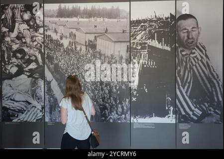 03.06.2017, Dachau, Bayern, Deutschland, Europa, ein Besucher im Museum der KZ-Gedenkstätte Dachau. Dachau war die erste Konzentration ca. Stockfoto