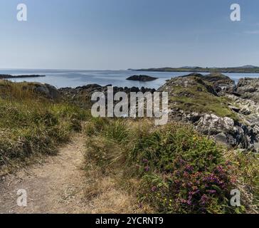 Sandiger Wanderweg gesäumt von bunten Wildblumen führt zur zerklüfteten Küste im County Cork im Südwesten Irlands Stockfoto