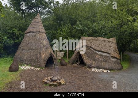 Wexford, Irland, 18. August 2022: Mittelsteinzeitlicher Campingplatz mit Reetdachhütten und offenem Feuer im Irish National Heritage Park, Europa Stockfoto