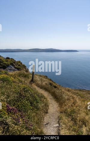 Schmaler Wanderweg und Wegmarkierung entlang des Berges der Sheep's Head Peninsula mit Blick auf Bantry Bay und Mizen Head Stockfoto