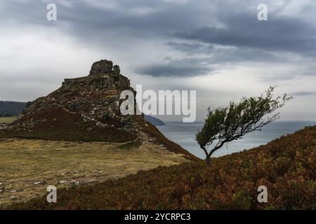 Die Landschaft des Valley of the Rocks in Exmoor in North Devon mit einem ausdrucksstarken, bedeckten Himmel Stockfoto