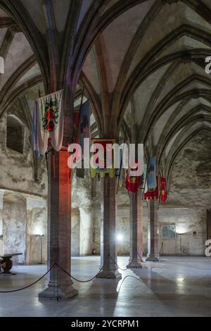 Hunedoara, Rumänien, 17. Oktober 2022: Blick auf die große Halle im Schloss Hunedoara mit mittelalterlichen Fahnen, die von der Decke hängen, Europa Stockfoto