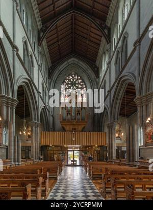Kilkenny, Irland, 17. August 2022: Blick auf das Hauptschiff der St. Mary's Cathedral in Kilkenny mit der Kirchenorgel über dem Eingang, Europa Stockfoto