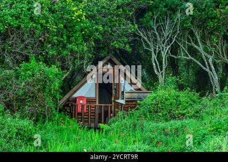 Hütte im Küstenwald, Storms River Rest Camp, Storms River, Tsitsikamma Section, Garden Route National Park, Eastern Cape, Südafrika Stockfoto
