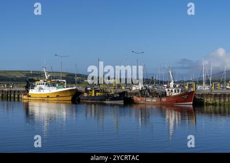 Dingle, Irland, 7. August 2022: Bunte Fischerboote auf den Docks im Hafen von Dingle im County Kerry, Europa Stockfoto