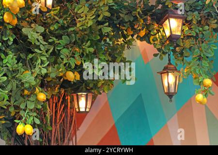 Eingeschaltete Straßenlaterne auf einem Ast mit Zitronen gegen eine bunte Wand. Einrichtung im Hinterhof. Street Design in der Stadt. Stockfoto