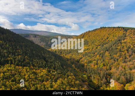 Ilsestein, Blick von Ilsestein ins Ilsetal, Nationalpark Harz, Sachsen-Anhalt, Deutschland Stockfoto