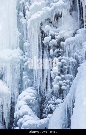 Radauer Wasserfall, gefrorener Wasserfall, Winter, Harz, Niedersachsen, Deutschland Stockfoto