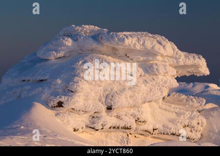 Teufelskanzel, Brocken, Gipfel, Winter, Nationalpark Harz, Harz, Sachsen-Anhalt, Deutschland Stockfoto