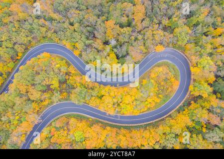 Serpentinenstraße im herbstlichen Laubwald Sachsen-Anhalt Stockfoto