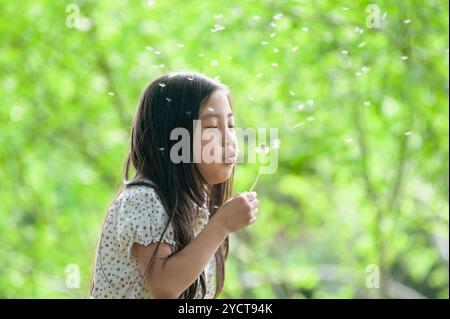 Mädchen, das Löwenzahn-Flaum bläst Stockfoto