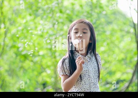 Mädchen, das Löwenzahn-Flaum bläst Stockfoto