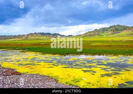 Landschaft am Sayram See, Xinjiang Uyghur autonome Region, China Stockfoto