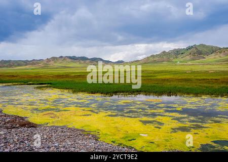 Landschaft am Sayram See, Xinjiang Uyghur autonome Region, China Stockfoto