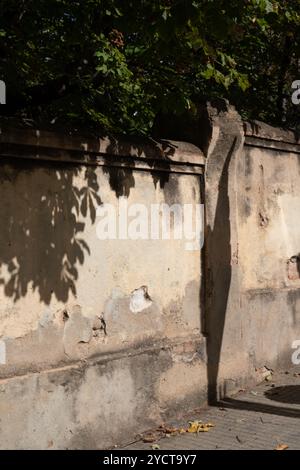 Zaun des Hauses Stockfoto