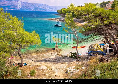 Türkis Strand in Pinien auf Brac Stockfoto